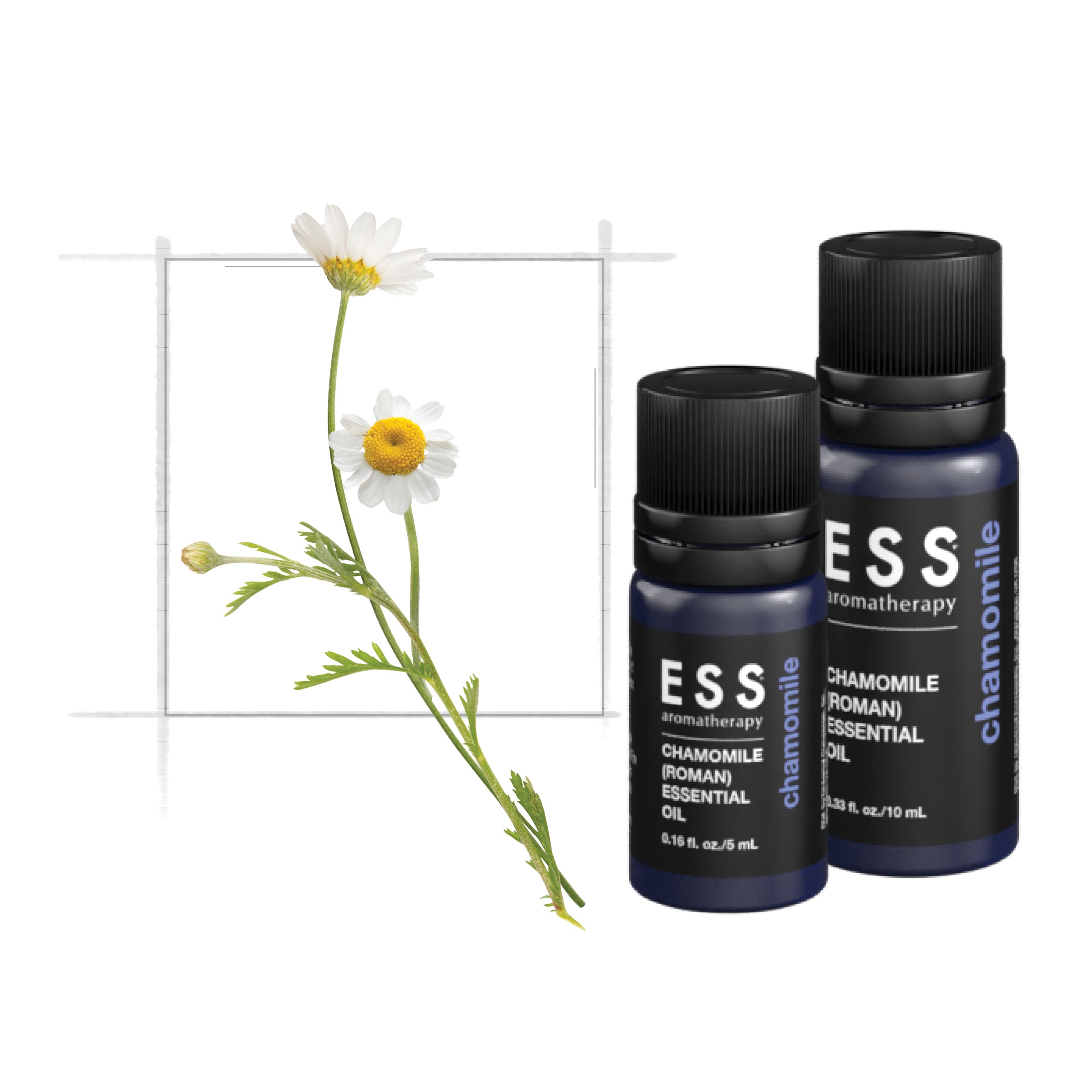 ESS Roman Chamomile Essential Oil – Universal Companies
