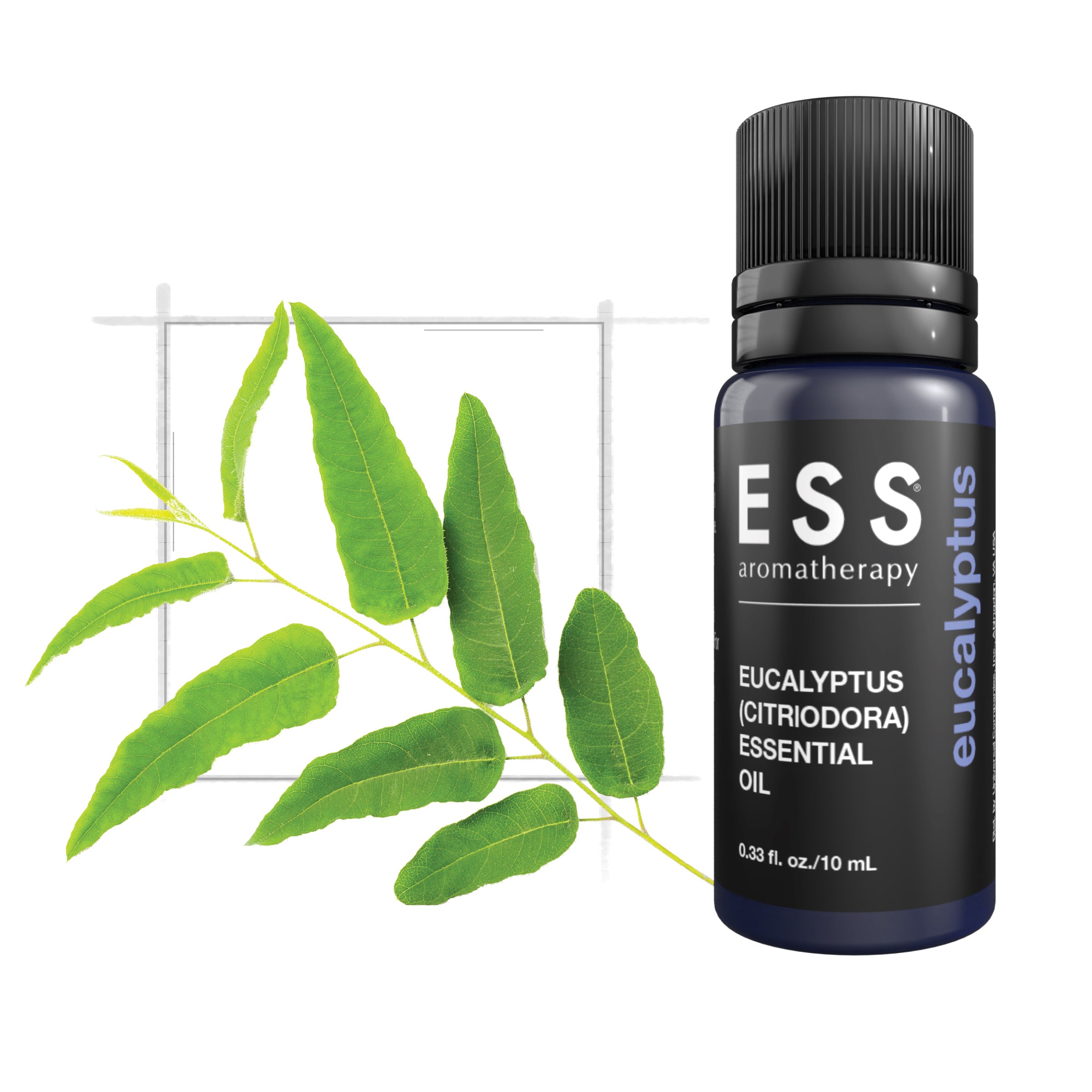 エスシーエナブルオイル10ml ESS Eucalyptus Citriodora Essential Oil, 10mL – Universal Companies