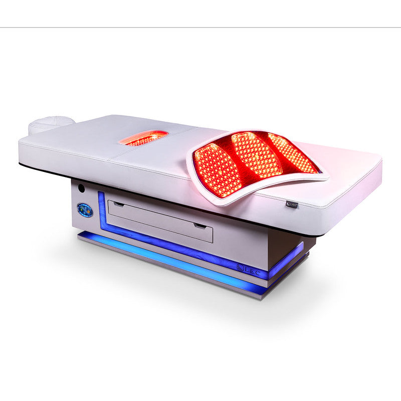 Living Earth Crafts Radiance PT Treatment Table