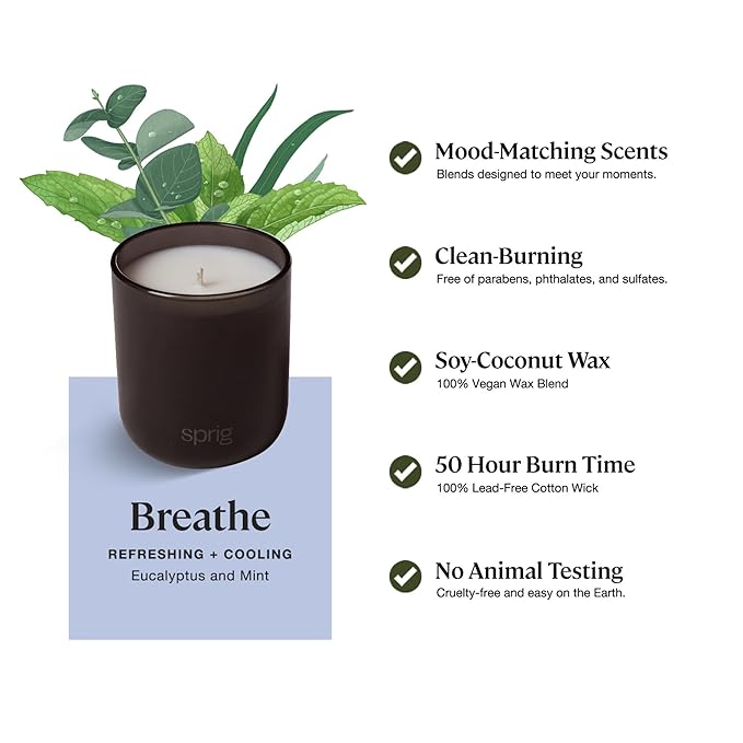 Sprig by Kohler Scented Candle, Breathe, 8 oz