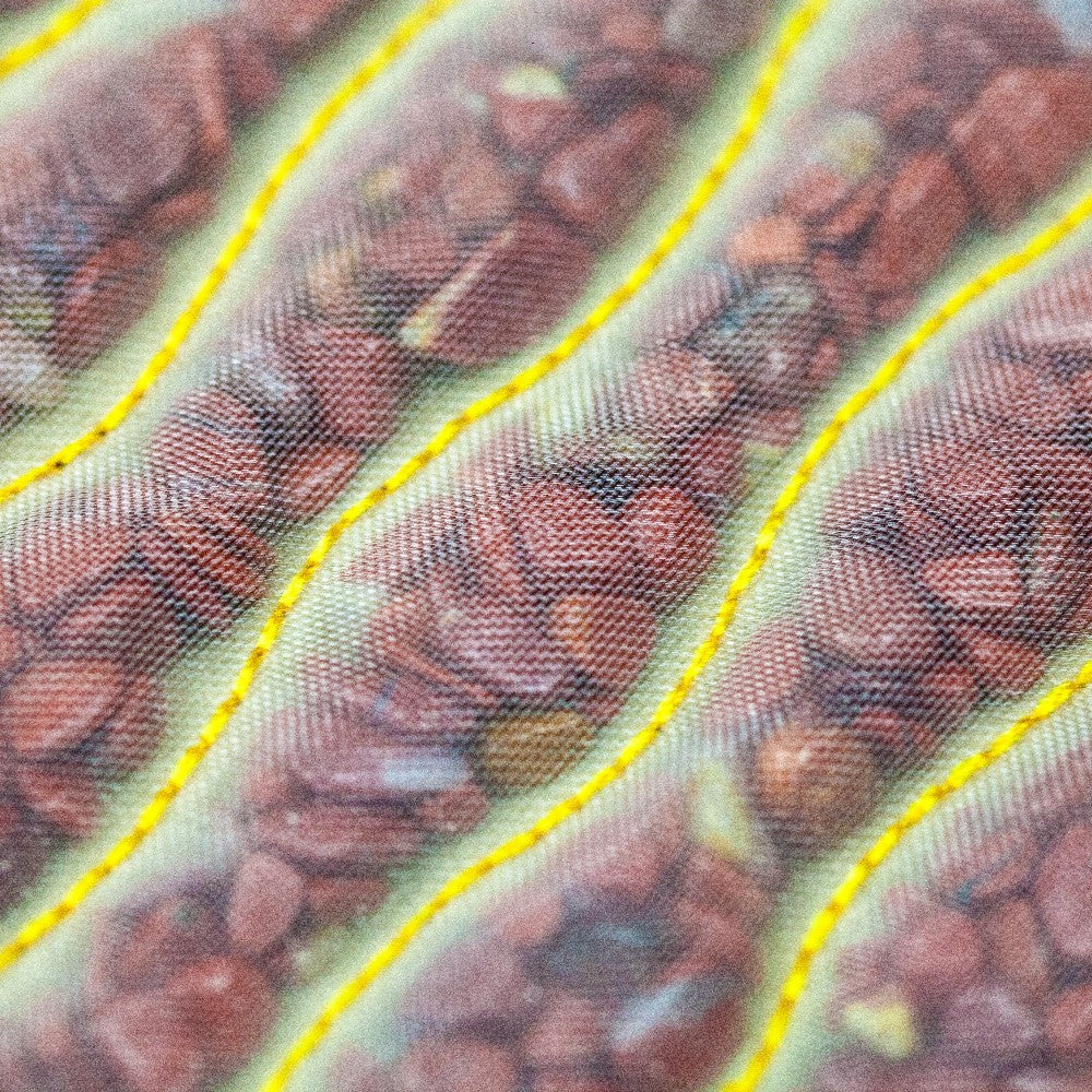 Rainbow Chakra Mat™ 4020 Firm - Photon PEMF Inframat Pro® 3rd Edition, Small