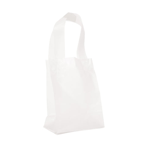 Image of Bags, Ribbons & Tissue 5 x 3 x 7 in Gift Bag / Frosted Handle / 5in x 3in x 7in