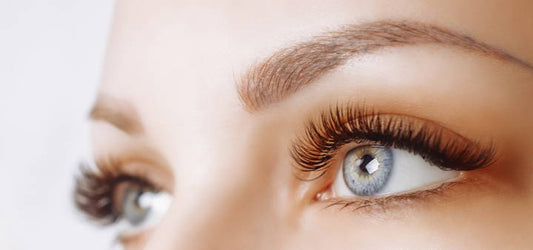 ViBrowLash Lash Lift Protocol