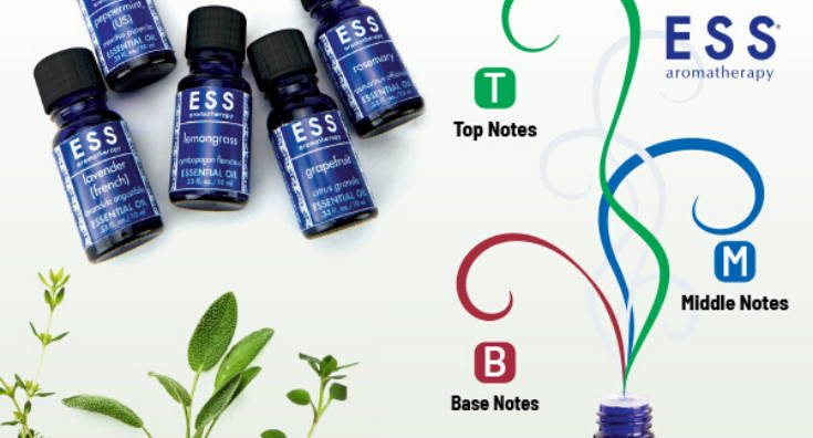 Essential Oils: What's the Difference Between Top, Middle, and Base Notes?