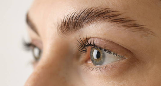 ViBrowLash Lash & Brow Tinting Protocol