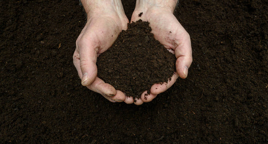 Biodegradable vs. Compostable: What Spas Need to Know