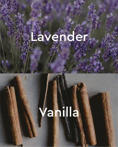 Image of contextual image of lavender and vanilla bean sticks