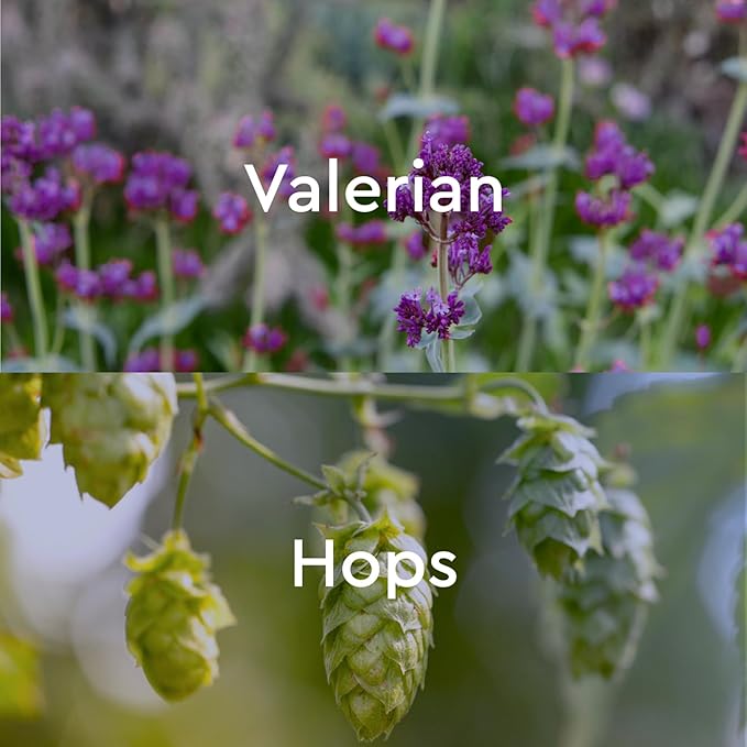 Kneipp Bath Oil, Dream Away Valerian & Hops, 0.67 fl. oz, 12 pack BOGO, 24 ct.