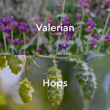 Kneipp Bath Oil, Dream Away Valerian & Hops, 0.67 fl. oz, 12 pack BOGO, 24 ct.