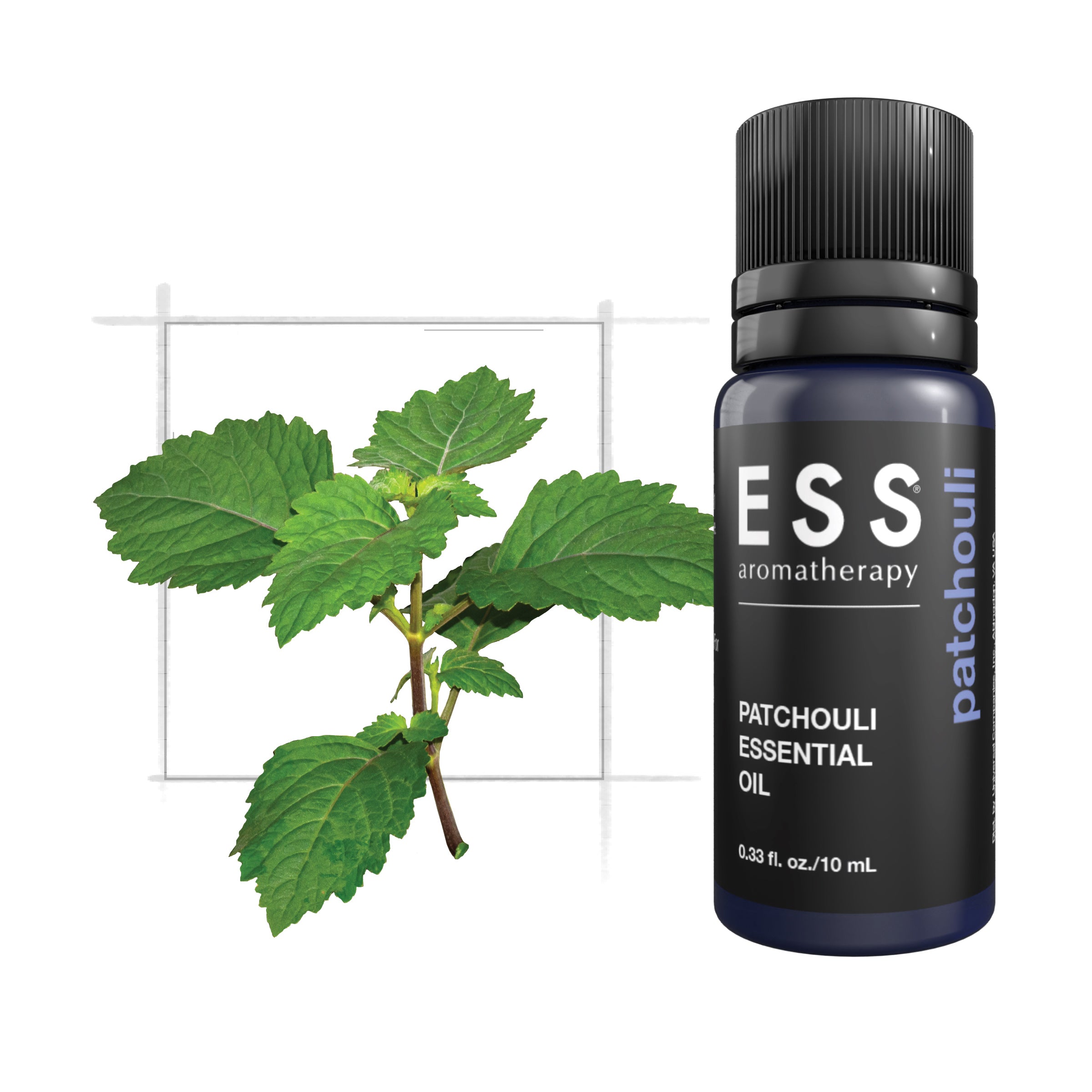 ESS Patchouli Essential Oil, 10 mL – Universal Companies