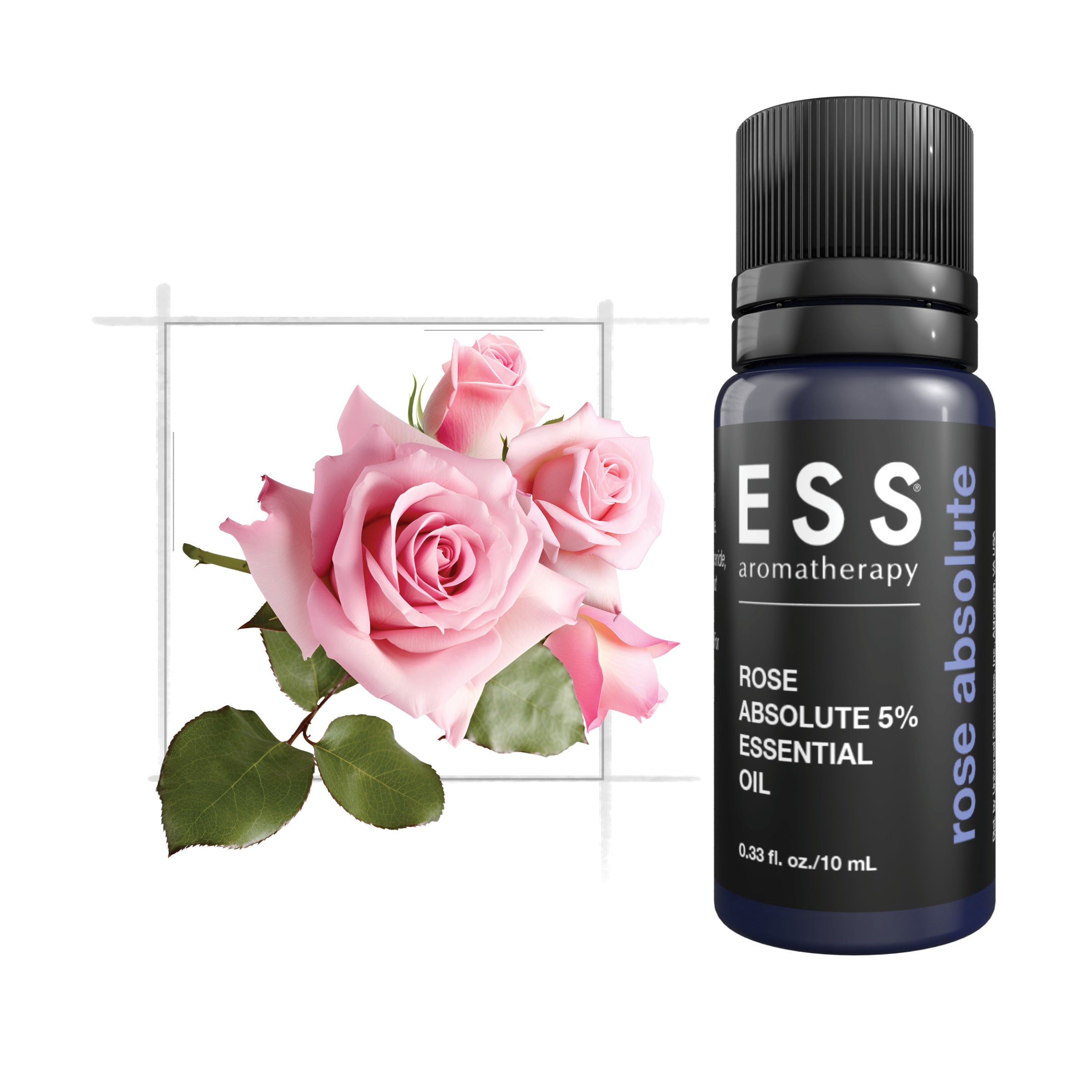 ESS Rose Absolute 5%, Essential Oil, 10 mL – Universal Companies