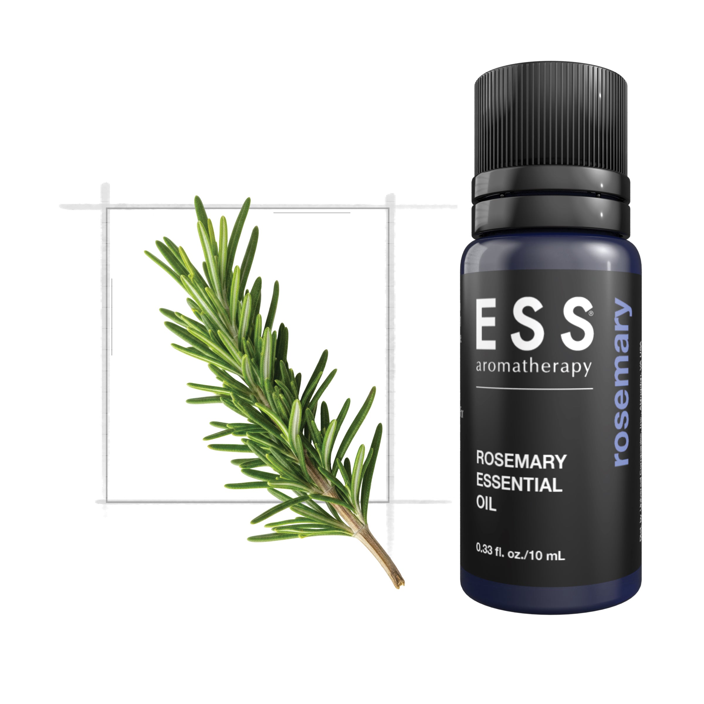 ESS Rosemary Essential Oil, 10 mL – Universal Companies