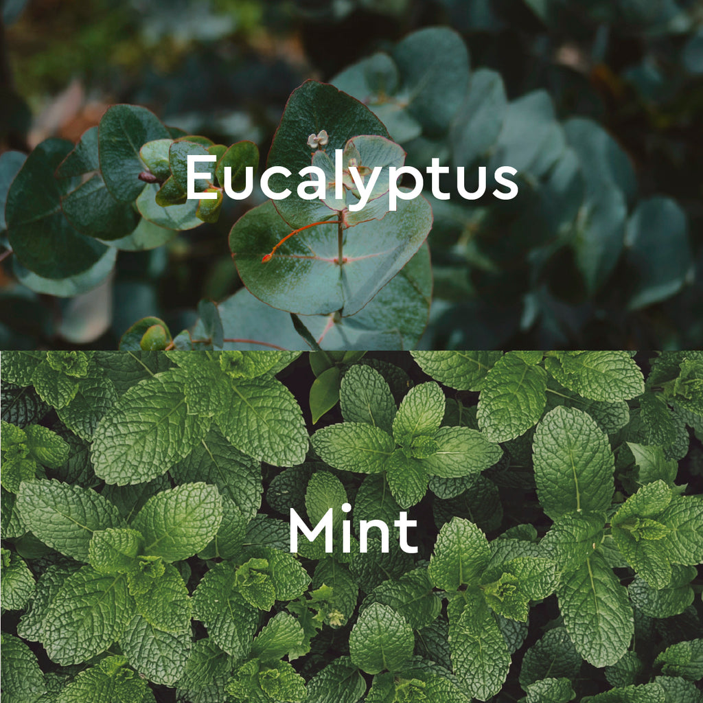 Kneipp Body Wash, Under the Weather Eucalyptus, 6.76 fl oz