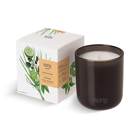 Sprig by Kohler Scented Candle, Recharge, 8 oz