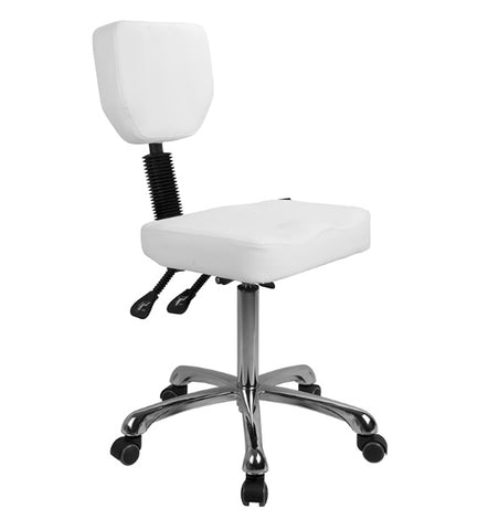 Image of Silverfox Square Stool with Back Rest
