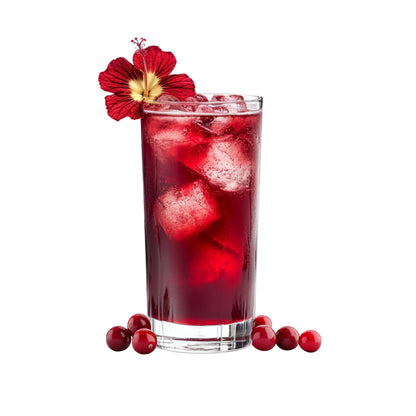 Spa Moments, Organic Herbal Tea, Cranberry Hibiscus, 100 ct