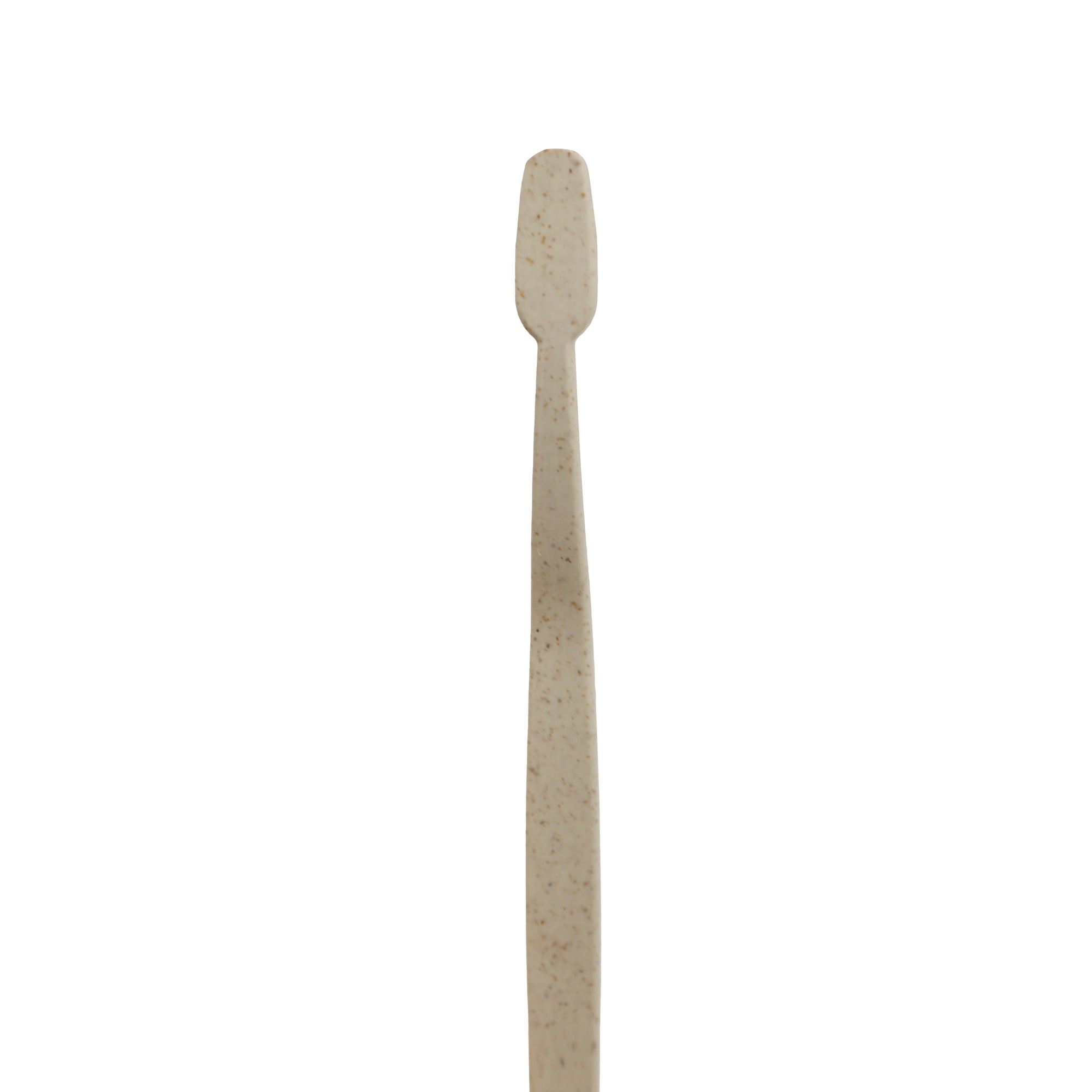 Wheat Toothpaste Sustayne Toothbrush & Toothpaste Packet Set, Wheat Straw – Universal ...