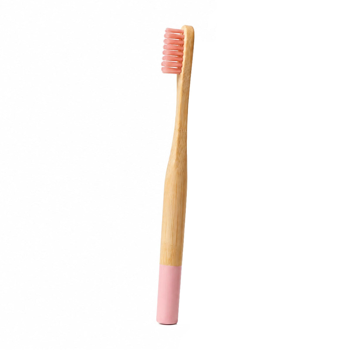 Sustayne Children's Toothbrush, 1000 ct
