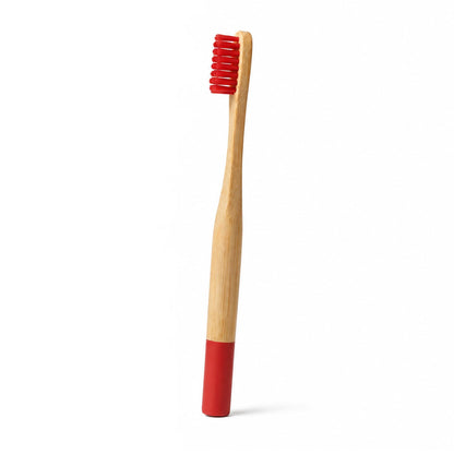 Sustayne Children's Toothbrush, 1000 ct