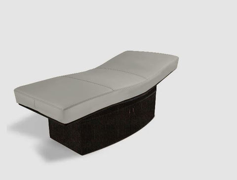 Image of Living Earth Crafts Insignia Horizon Multi-Purpose Treatment Table with Replaceable Mattress
