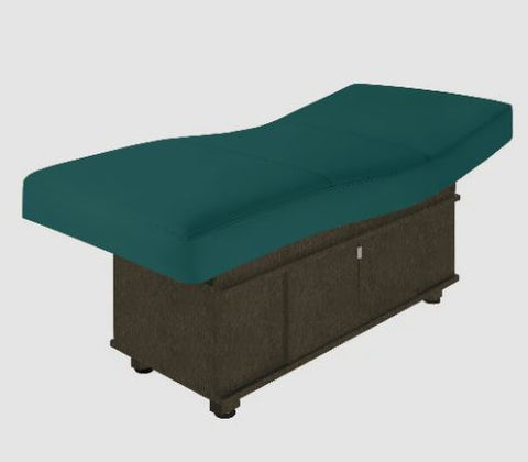 Image of Living Earth Crafts Insignia Classic Multi-Purpose Treatment Table with Replaceable Mattress