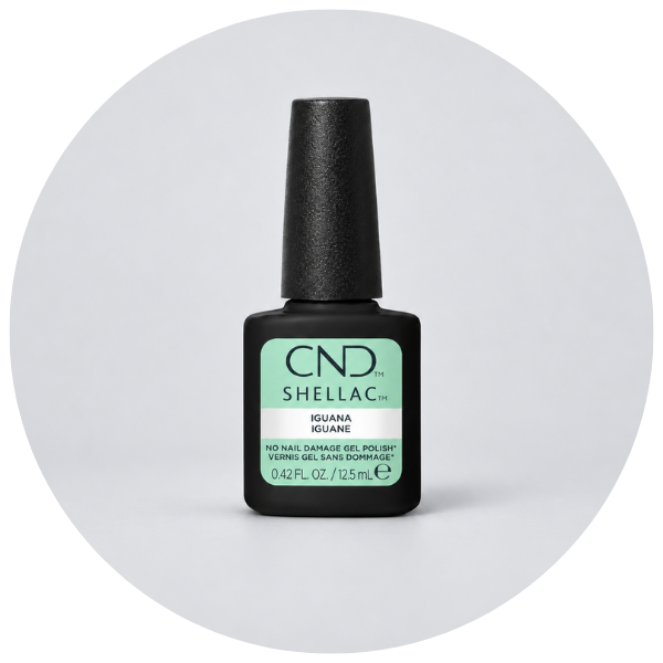 A bottle of CND Shellac Iguana gel nail polish in a black bottle with a black cap, featuring a mint green and white label, centered on a light gray circular background.