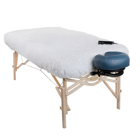 Image of Earthlite DLX™ Digital Massage Table Warmer, 120v