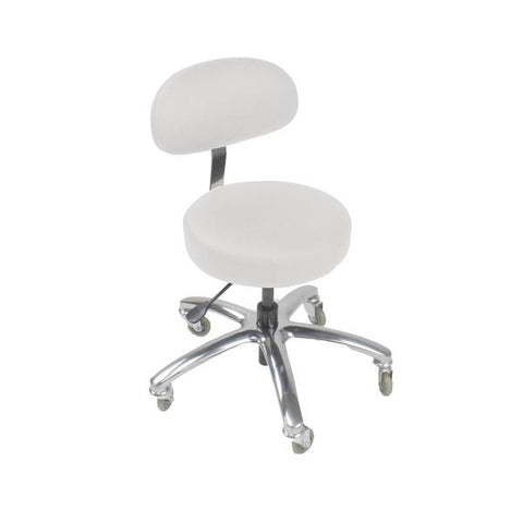 Image of Touch America Pro Stool with Back, Standard Height