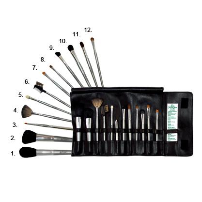 Professional Makeup Brush Set, 12 ct