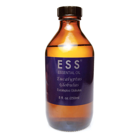 Image of Aromatherapy 250 ml. ESS Eucalyptus Globulus Essential Oil / 10ml
