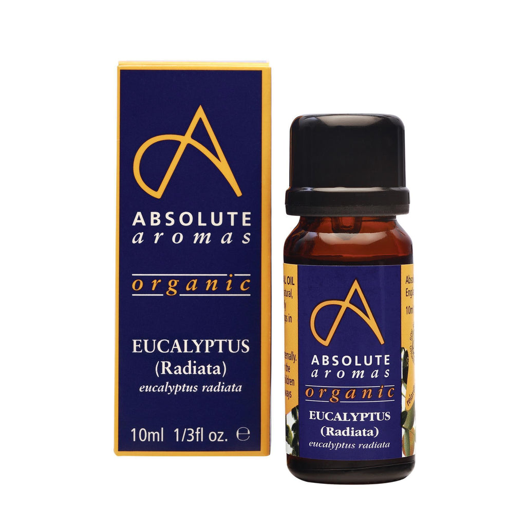 Single Notes 10 ml Absolute Aromas Organic Eucalyptus Radiata Essential Oil 10ml