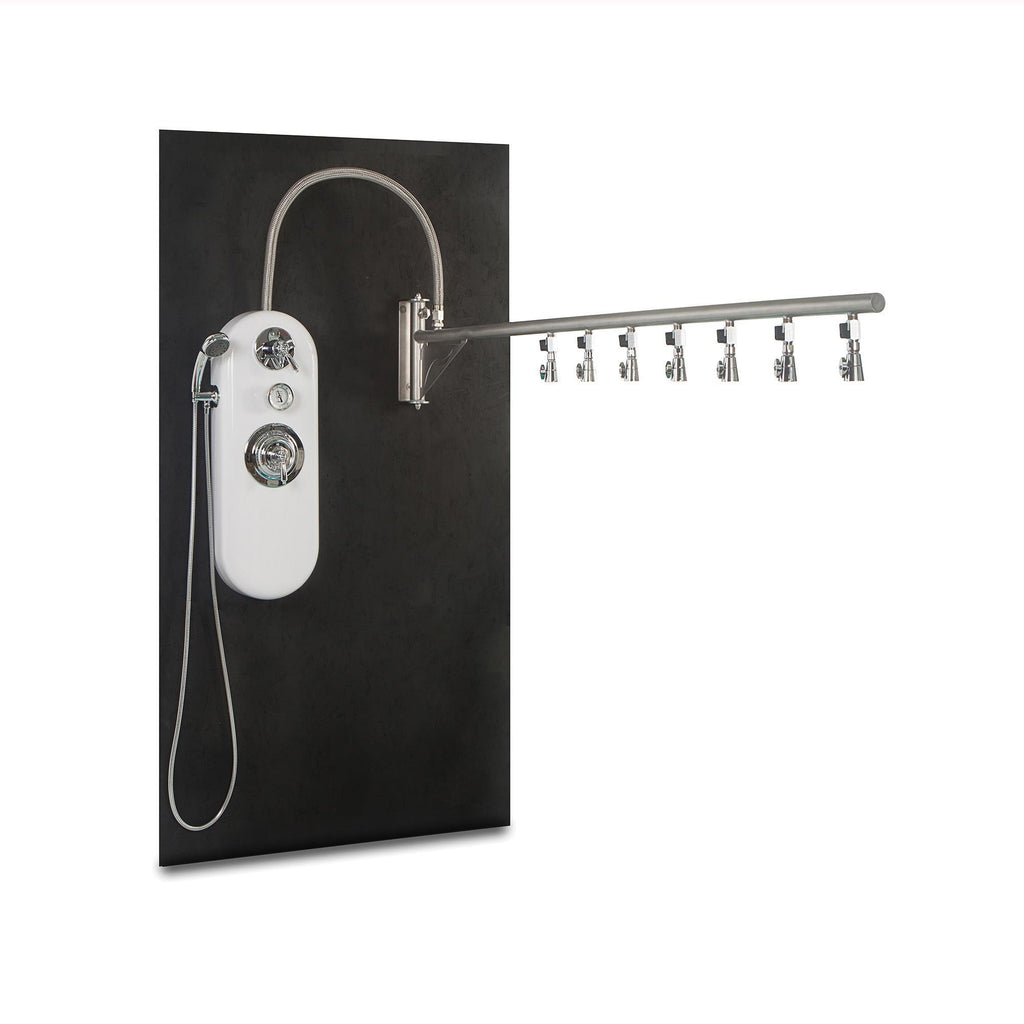 Specialty Showers WaterWerks Ditto Vichy Shower